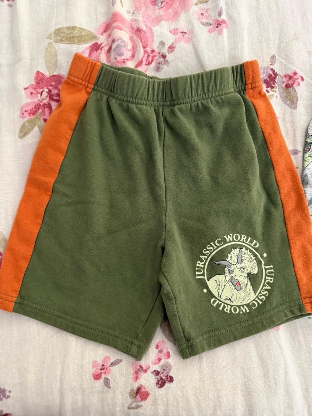 Jurassic World Olive & Orange Kids' Shorts